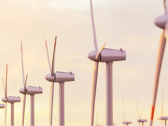 Groot windpark met meerdere turbines die bij zonsondergang draaien, dat duurzame energieproductie en groene energieoplossingen toont.